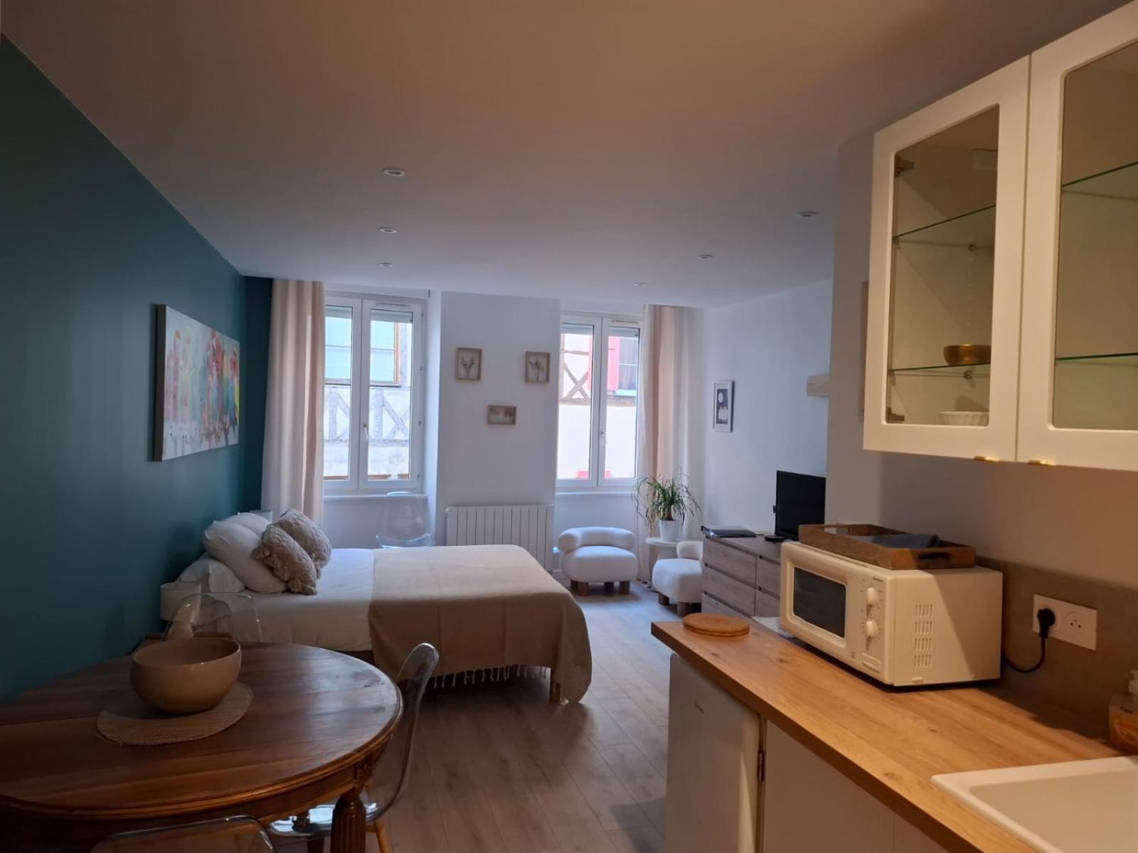 Studio Centre Macon Place Aux Herbes Экстерьер фото